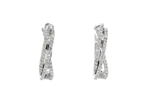 עגילי חצב Fermond Jewelery