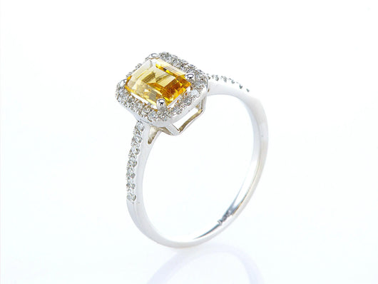 טבעת מעוצבת שחף Fermond Jewelery